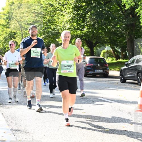 20.09.2026 - PSD Bank Halbmarathon Dr. Thomas Lammeyer http://msf.ph/oto/10503449 20.09.2026 10:59:29 Laufen 2889, 1099, 2305, 4683 meine-sportfotos.de