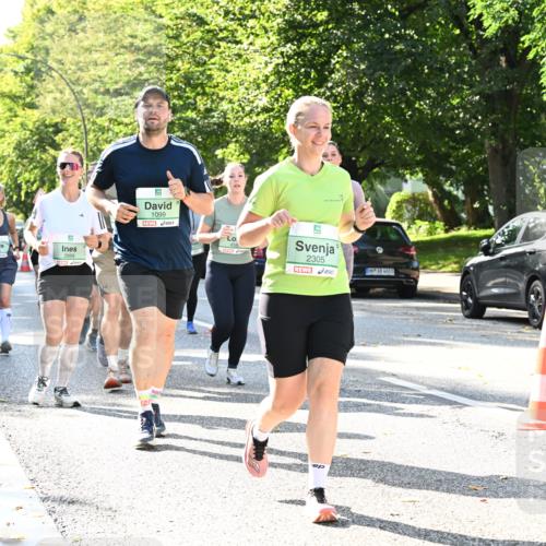 20.09.2026 - PSD Bank Halbmarathon Dr. Thomas Lammeyer http://msf.ph/oto/10503454 20.09.2026 10:59:30 Laufen 2889, 1099, 2305, 4683 meine-sportfotos.de