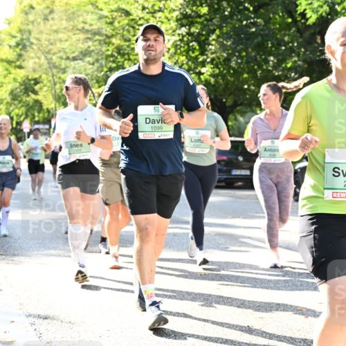 20.09.2026 - PSD Bank Halbmarathon Dr. Thomas Lammeyer http://msf.ph/oto/10503460 20.09.2026 10:59:31 Laufen 1099, 4587, 2889, 2305 meine-sportfotos.de