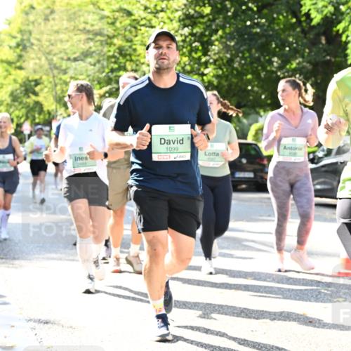 20.09.2026 - PSD Bank Halbmarathon Dr. Thomas Lammeyer http://msf.ph/oto/10503463 20.09.2026 10:59:31 Laufen 1099, 2305 meine-sportfotos.de