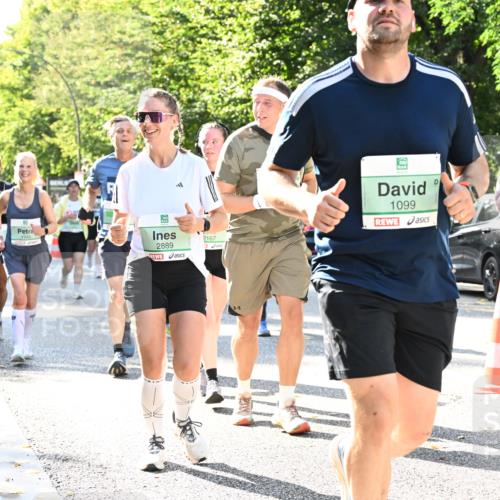 20.09.2026 - PSD Bank Halbmarathon Dr. Thomas Lammeyer http://msf.ph/oto/10503471 20.09.2026 10:59:31 Laufen 2889, 2167, 1099, 4588 meine-sportfotos.de