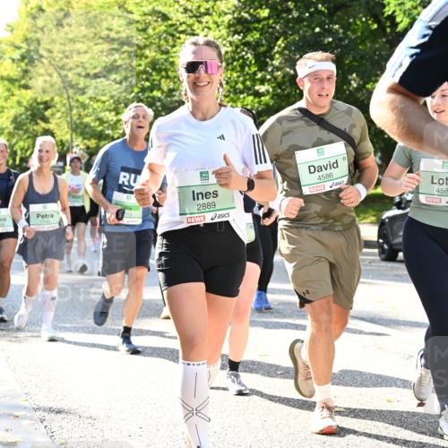 20.09.2026 - PSD Bank Halbmarathon Dr. Thomas Lammeyer http://msf.ph/oto/10503475 20.09.2026 10:59:32 Laufen 1745, 2889, 4586, 4587 meine-sportfotos.de