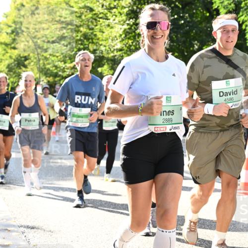 20.09.2026 - PSD Bank Halbmarathon Dr. Thomas Lammeyer http://msf.ph/oto/10503480 20.09.2026 10:59:32 Laufen 1745, 4713, 2889, 4586, 458 meine-sportfotos.de