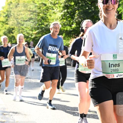 20.09.2026 - PSD Bank Halbmarathon Dr. Thomas Lammeyer http://msf.ph/oto/10503483 20.09.2026 10:59:33 Laufen 216, 4586, 2889 meine-sportfotos.de
