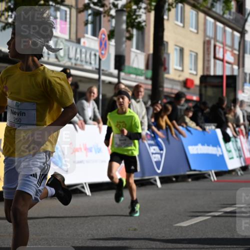 20.09.2026 - PSD Bank Halbmarathon J. Mangold http://msf.ph/oto/10503539 20.09.2026 10:27:57 Ziel 123, 130, 216, 241, 250, 271, 419, 445, 457 meine-sportfotos.de