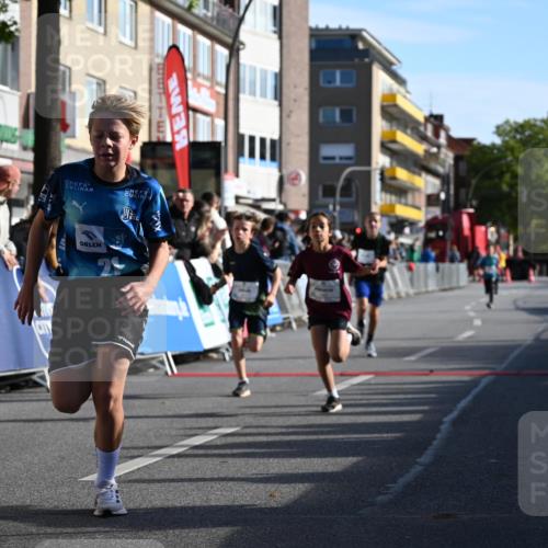 20.09.2026 - PSD Bank Halbmarathon J. Mangold http://msf.ph/oto/10503676 20.09.2026 10:28:50 Ziel 206, 211, 242, 258, 301, 354 meine-sportfotos.de