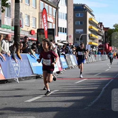 20.09.2026 - PSD Bank Halbmarathon J. Mangold http://msf.ph/oto/10503682 20.09.2026 10:28:50 Ziel 206, 211, 242, 258, 301, 354 meine-sportfotos.de