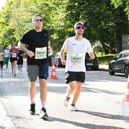 20.09.2026 - PSD Bank Halbmarathon Dr. Thomas Lammeyer http://msf.ph/oto/10503702 20.09.2026 10:59:53 Laufen 4002, 4003, 4683 meine-sportfotos.de