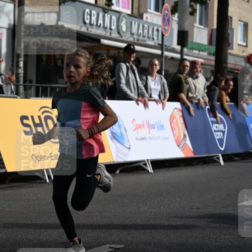 20.09.2026 - PSD Bank Halbmarathon J. Mangold http://msf.ph/oto/10503733 20.09.2026 10:29:13 Ziel 137, 181, 228, 377, 406 meine-sportfotos.de