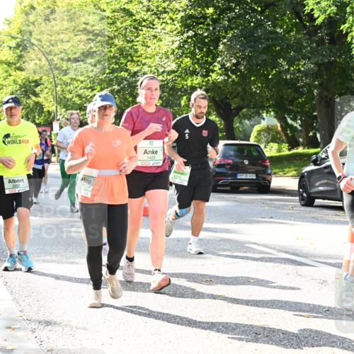 20.09.2026 - PSD Bank Halbmarathon Dr. Thomas Lammeyer http://msf.ph/oto/10503746 20.09.2026 10:59:57 Laufen 3958, 1423, 4736, 4683, 4726 meine-sportfotos.de