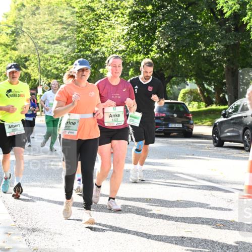 20.09.2026 - PSD Bank Halbmarathon Dr. Thomas Lammeyer http://msf.ph/oto/10503748 20.09.2026 10:59:57 Laufen 42, 195, 3958, 4137, 1423, 4736, 4726 meine-sportfotos.de