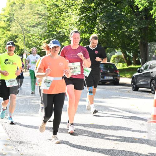 20.09.2026 - PSD Bank Halbmarathon Dr. Thomas Lammeyer http://msf.ph/oto/10503751 20.09.2026 10:59:57 Laufen 3958, 42, 195, 1423, 736, 4726 meine-sportfotos.de