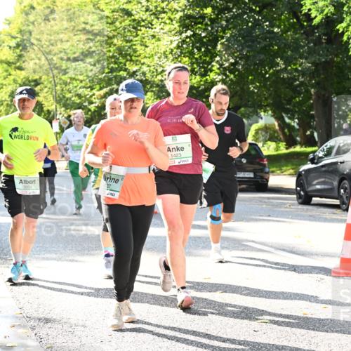 20.09.2026 - PSD Bank Halbmarathon Dr. Thomas Lammeyer http://msf.ph/oto/10503752 20.09.2026 10:59:58 Laufen 3958, 4137, 42, 195, 1423 meine-sportfotos.de