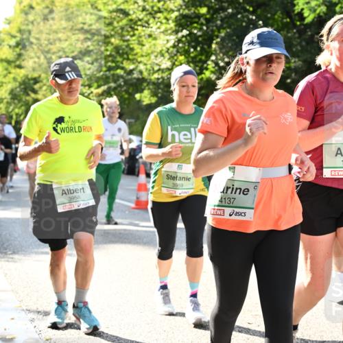 20.09.2026 - PSD Bank Halbmarathon Dr. Thomas Lammeyer http://msf.ph/oto/10503765 20.09.2026 10:59:59 Laufen 3958, 3959, 4137, 42195, 1423 meine-sportfotos.de