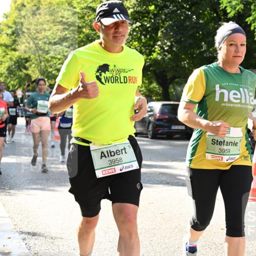 20.09.2026 - PSD Bank Halbmarathon Dr. Thomas Lammeyer http://msf.ph/oto/10503776 20.09.2026 11:00:00 Laufen 3958, 6, 3959 meine-sportfotos.de