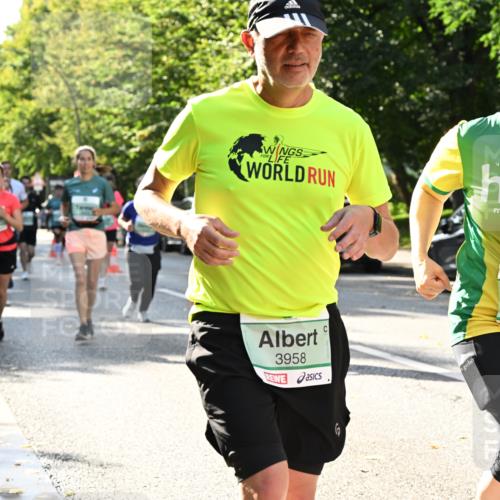 20.09.2026 - PSD Bank Halbmarathon Dr. Thomas Lammeyer http://msf.ph/oto/10503780 20.09.2026 11:00:00 Laufen 3958, 3959 meine-sportfotos.de