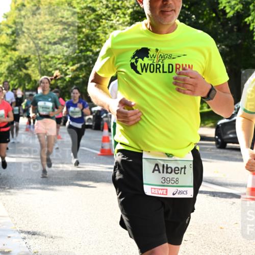 20.09.2026 - PSD Bank Halbmarathon Dr. Thomas Lammeyer http://msf.ph/oto/10503782 20.09.2026 11:00:00 Laufen 3958, 3959 meine-sportfotos.de