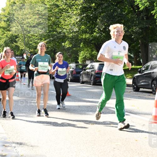 20.09.2026 - PSD Bank Halbmarathon Dr. Thomas Lammeyer http://msf.ph/oto/10503790 20.09.2026 11:00:01 Laufen 348, 4443 meine-sportfotos.de