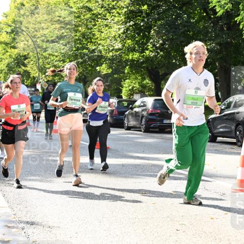 20.09.2026 - PSD Bank Halbmarathon Dr. Thomas Lammeyer http://msf.ph/oto/10503792 20.09.2026 11:00:01 Laufen 4059, 4443, 1503 meine-sportfotos.de
