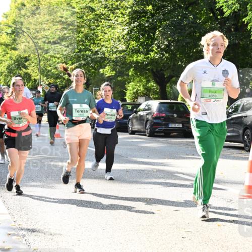 20.09.2026 - PSD Bank Halbmarathon Dr. Thomas Lammeyer http://msf.ph/oto/10503794 20.09.2026 11:00:01 Laufen 3488, 4443, 1503, 4683, 4059 meine-sportfotos.de