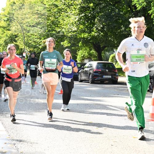 20.09.2026 - PSD Bank Halbmarathon Dr. Thomas Lammeyer http://msf.ph/oto/10503796 20.09.2026 11:00:01 Laufen 4443, 3488, 1503, 4683, 4059 meine-sportfotos.de