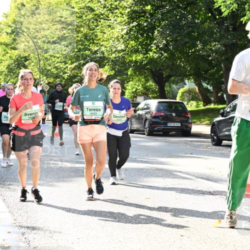 20.09.2026 - PSD Bank Halbmarathon Dr. Thomas Lammeyer http://msf.ph/oto/10503801 20.09.2026 11:00:01 Laufen 3488, 4443, 1503, 4683 meine-sportfotos.de