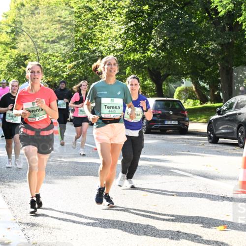 20.09.2026 - PSD Bank Halbmarathon Dr. Thomas Lammeyer http://msf.ph/oto/10503804 20.09.2026 11:00:02 Laufen 3488, 1113, 1652, 4443, 4683 meine-sportfotos.de