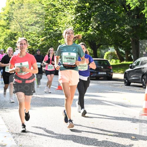 20.09.2026 - PSD Bank Halbmarathon Dr. Thomas Lammeyer http://msf.ph/oto/10503805 20.09.2026 11:00:02 Laufen 4443, 1503 meine-sportfotos.de