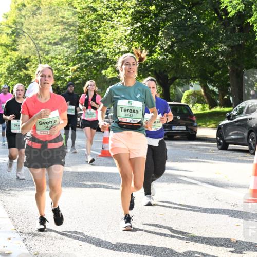 20.09.2026 - PSD Bank Halbmarathon Dr. Thomas Lammeyer http://msf.ph/oto/10503808 20.09.2026 11:00:02 Laufen 3488, 4443, 503 meine-sportfotos.de