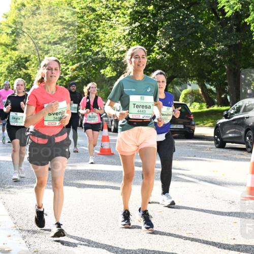 20.09.2026 - PSD Bank Halbmarathon Dr. Thomas Lammeyer http://msf.ph/oto/10503810 20.09.2026 11:00:02 Laufen 3488, 4443, 1503 meine-sportfotos.de
