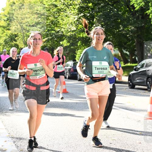 20.09.2026 - PSD Bank Halbmarathon Dr. Thomas Lammeyer http://msf.ph/oto/10503813 20.09.2026 11:00:03 Laufen 3488, 4443, 1503 meine-sportfotos.de