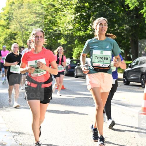 20.09.2026 - PSD Bank Halbmarathon Dr. Thomas Lammeyer http://msf.ph/oto/10503814 20.09.2026 11:00:03 Laufen 3488, 4443 meine-sportfotos.de