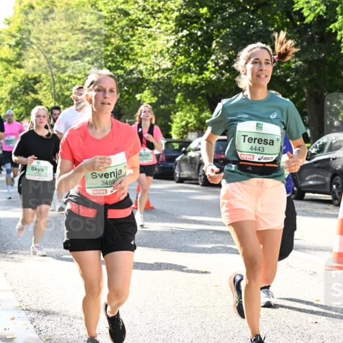 20.09.2026 - PSD Bank Halbmarathon Dr. Thomas Lammeyer http://msf.ph/oto/10503817 20.09.2026 11:00:03 Laufen 3488, 4443 meine-sportfotos.de