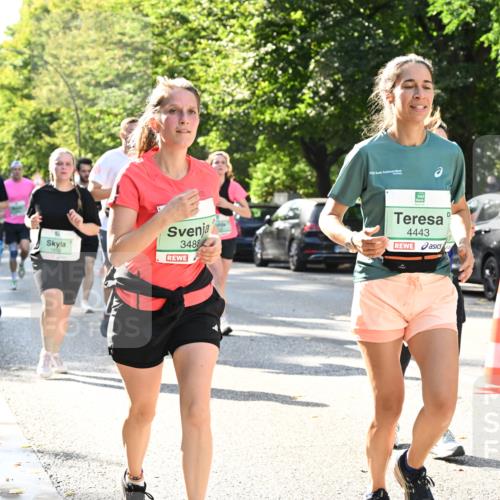 20.09.2026 - PSD Bank Halbmarathon Dr. Thomas Lammeyer http://msf.ph/oto/10503819 20.09.2026 11:00:03 Laufen 3488, 4443 meine-sportfotos.de