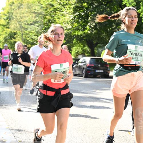 20.09.2026 - PSD Bank Halbmarathon Dr. Thomas Lammeyer http://msf.ph/oto/10503821 20.09.2026 11:00:03 Laufen 4443 meine-sportfotos.de