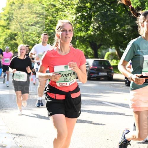 20.09.2026 - PSD Bank Halbmarathon Dr. Thomas Lammeyer http://msf.ph/oto/10503824 20.09.2026 11:00:03 Laufen 3488, 4443 meine-sportfotos.de