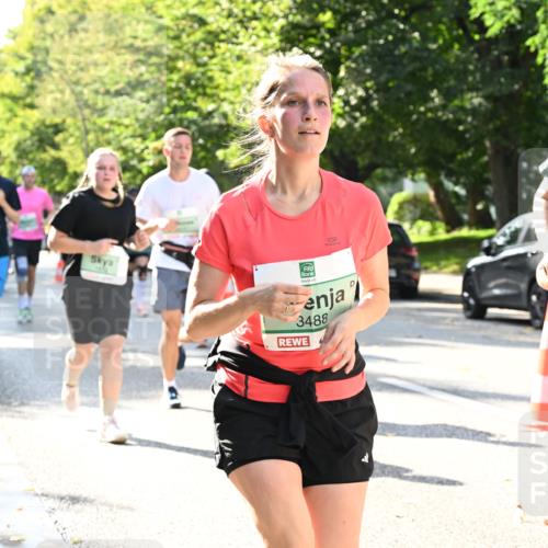 20.09.2026 - PSD Bank Halbmarathon Dr. Thomas Lammeyer http://msf.ph/oto/10503825 20.09.2026 11:00:03 Laufen 3488, 4443 meine-sportfotos.de