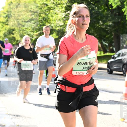 20.09.2026 - PSD Bank Halbmarathon Dr. Thomas Lammeyer http://msf.ph/oto/10503827 20.09.2026 11:00:04 Laufen 3488 meine-sportfotos.de