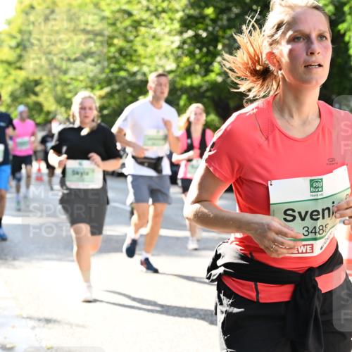 20.09.2026 - PSD Bank Halbmarathon Dr. Thomas Lammeyer http://msf.ph/oto/10503832 20.09.2026 11:00:04 Laufen 348 meine-sportfotos.de