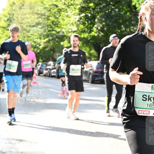 20.09.2026 - PSD Bank Halbmarathon Dr. Thomas Lammeyer http://msf.ph/oto/10503854 20.09.2026 11:00:06 Laufen 1652 meine-sportfotos.de