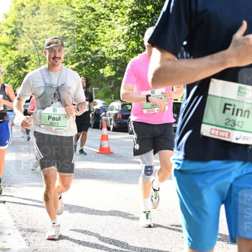 20.09.2026 - PSD Bank Halbmarathon Dr. Thomas Lammeyer http://msf.ph/oto/10503886 20.09.2026 11:00:09 Laufen 4202, 3013, 36, 2342, 253, 7 meine-sportfotos.de