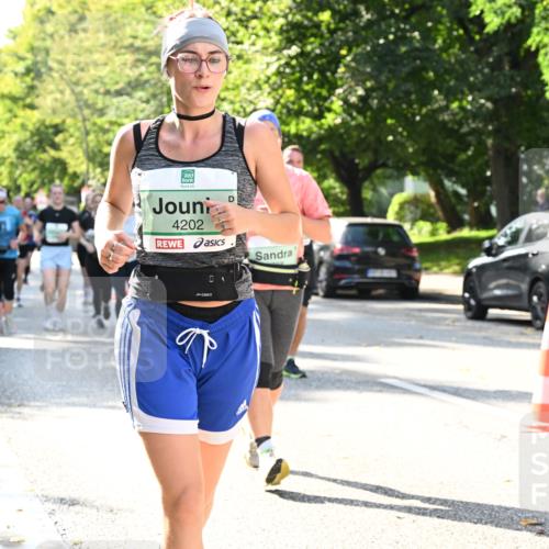 20.09.2026 - PSD Bank Halbmarathon Dr. Thomas Lammeyer http://msf.ph/oto/10503913 20.09.2026 11:00:11 Laufen 4202 meine-sportfotos.de