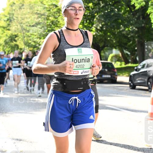20.09.2026 - PSD Bank Halbmarathon Dr. Thomas Lammeyer http://msf.ph/oto/10503918 20.09.2026 11:00:11 Laufen 4202 meine-sportfotos.de