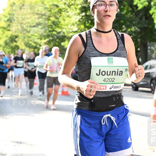 20.09.2026 - PSD Bank Halbmarathon Dr. Thomas Lammeyer http://msf.ph/oto/10503923 20.09.2026 11:00:12 Laufen 4202 meine-sportfotos.de