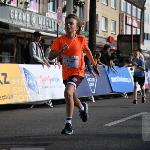 20.09.2026 - PSD Bank Halbmarathon J. Mangold http://msf.ph/oto/10503951 20.09.2026 10:30:01 Ziel 116, 167, 183, 297, 310, 312, 315, 318, 405, 456 meine-sportfotos.de