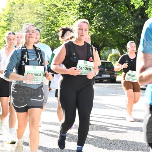 20.09.2026 - PSD Bank Halbmarathon Dr. Thomas Lammeyer http://msf.ph/oto/10503986 20.09.2026 11:00:18 Laufen 951, 2920, 3343 meine-sportfotos.de