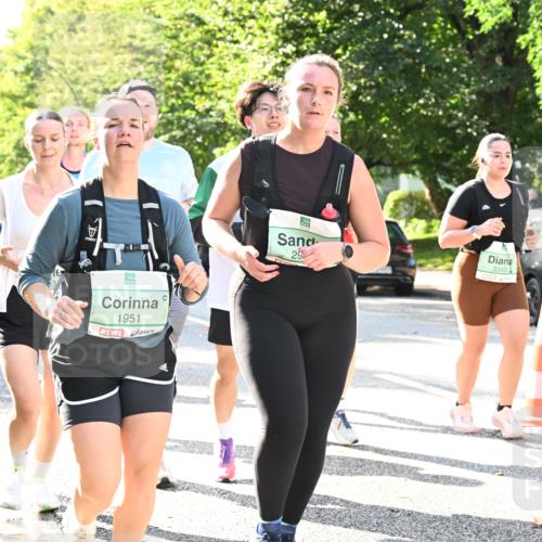 20.09.2026 - PSD Bank Halbmarathon Dr. Thomas Lammeyer http://msf.ph/oto/10503988 20.09.2026 11:00:18 Laufen 1951, 29, 3343 meine-sportfotos.de