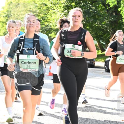 20.09.2026 - PSD Bank Halbmarathon Dr. Thomas Lammeyer http://msf.ph/oto/10503990 20.09.2026 11:00:18 Laufen 1951, 23, 3343 meine-sportfotos.de