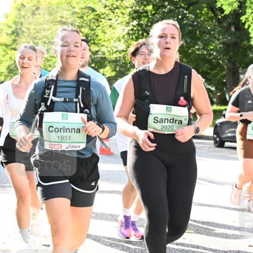 20.09.2026 - PSD Bank Halbmarathon Dr. Thomas Lammeyer http://msf.ph/oto/10503992 20.09.2026 11:00:18 Laufen 1951, 2920, 3343 meine-sportfotos.de