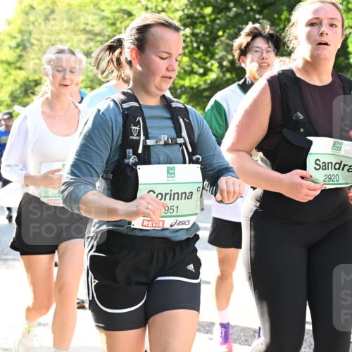 20.09.2026 - PSD Bank Halbmarathon Dr. Thomas Lammeyer http://msf.ph/oto/10503996 20.09.2026 11:00:18 Laufen 951, 2920, 3343 meine-sportfotos.de